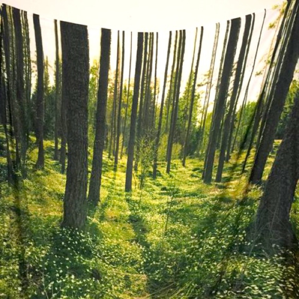 COPY - Urban Outfitters forest tapestry